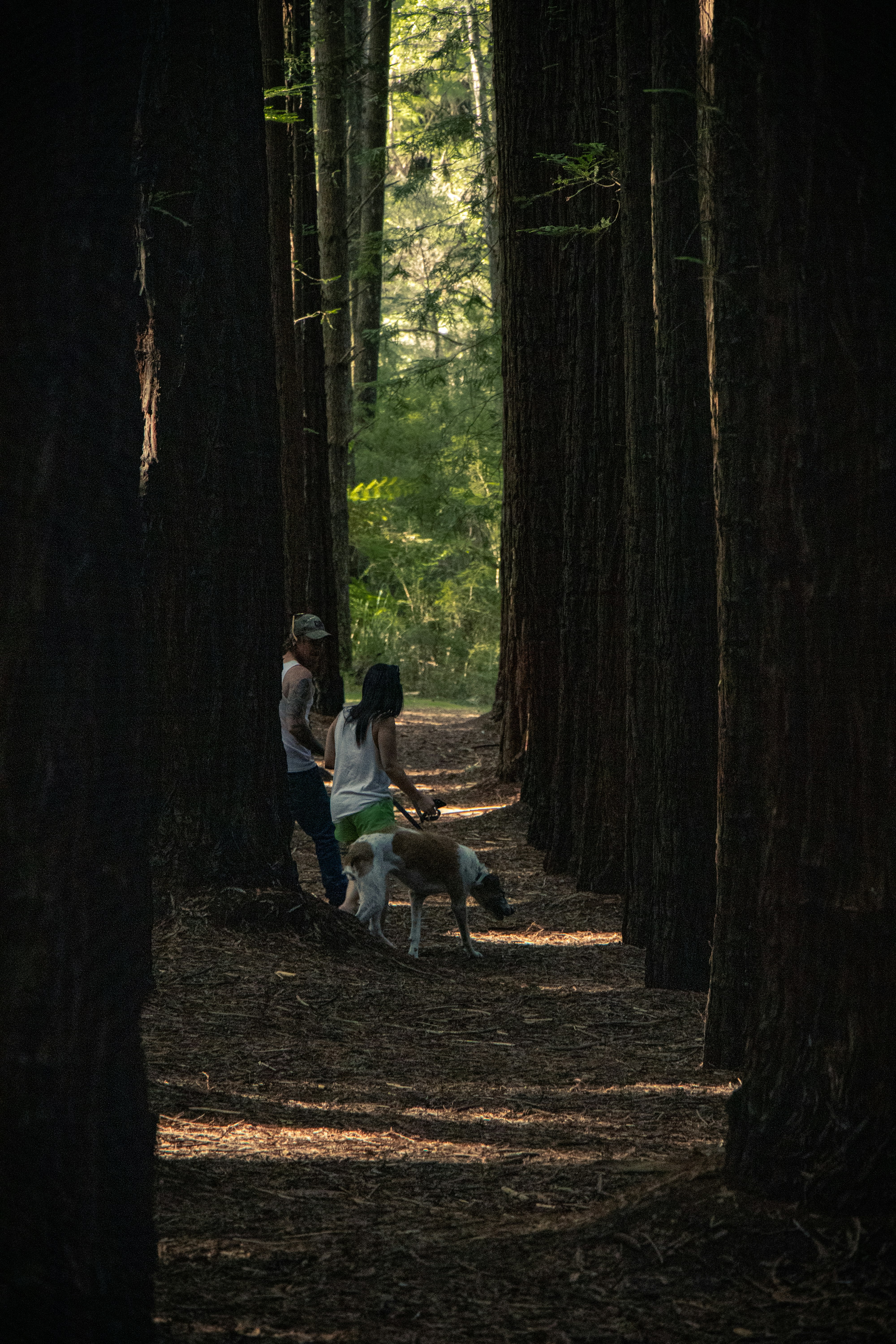 man and woman with dog on woods
